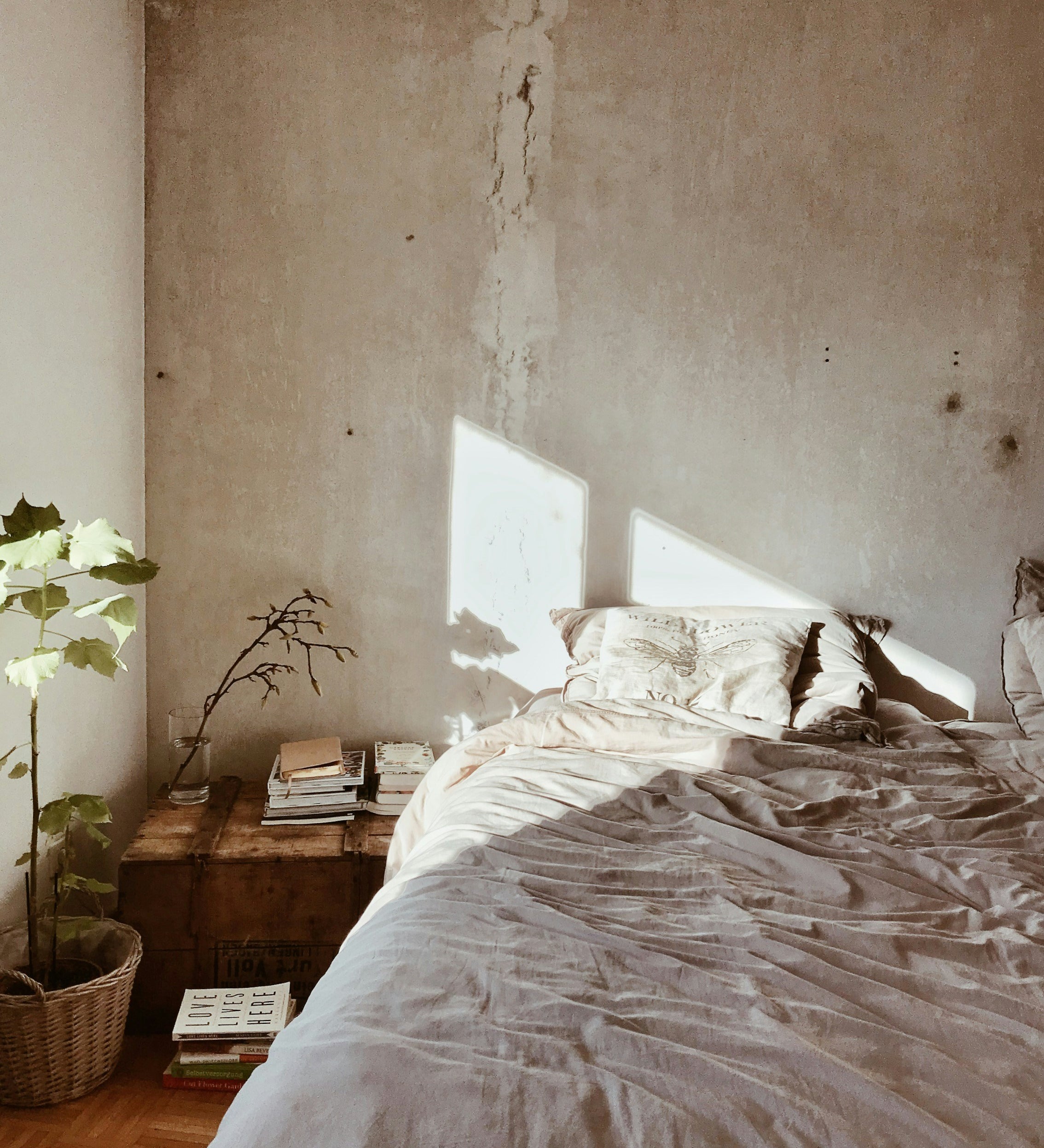 morning light on bed