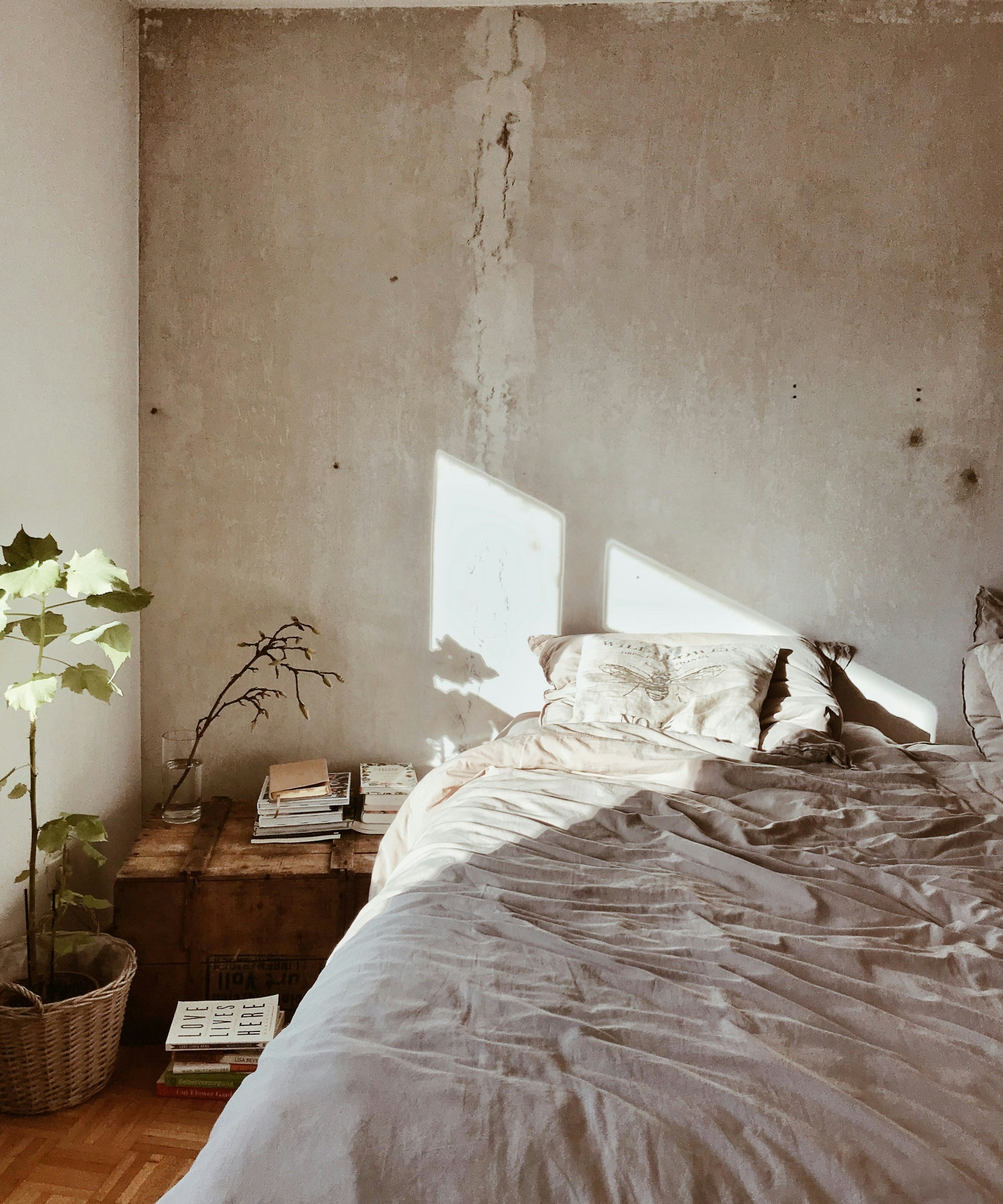 morning light on bed